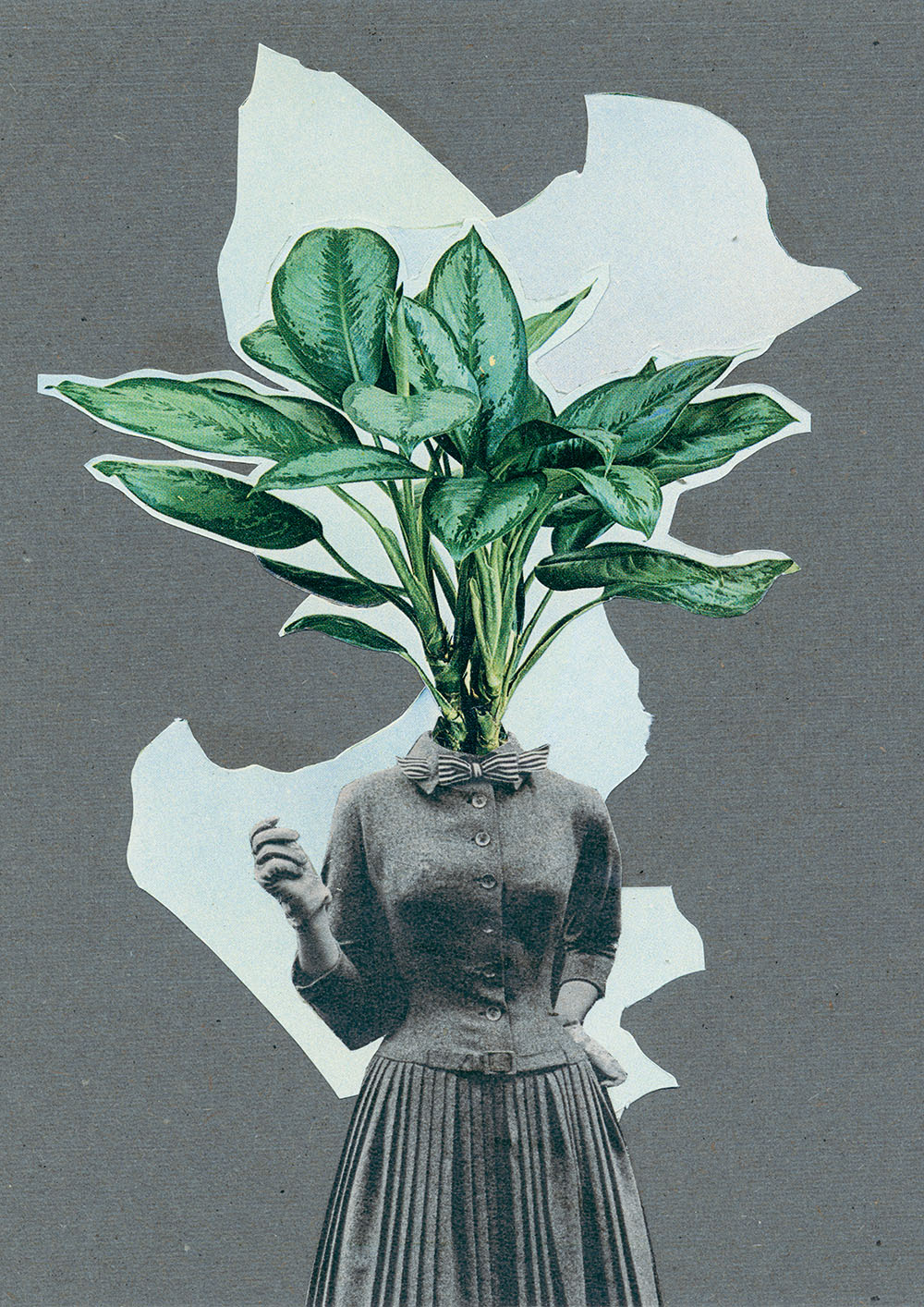 Pflanzen, Blüten, Palmen, Kakteen mit Kleidung Klamotten Plants with Pants - Kunst, Collagen, Illustration und Kreatives vom Künstler Markus Wülbern