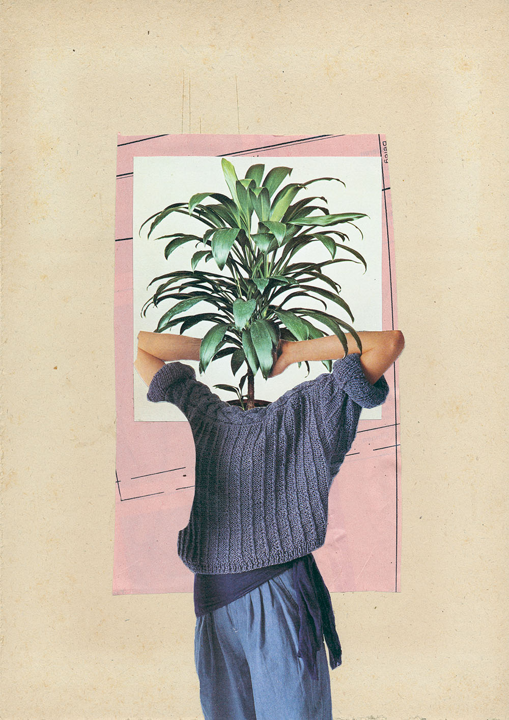 Gläzende Zimmerpflanze mit Strickpullover - original Pflanzen, Blüten, Kakteen mit Klamotten, Kleidung Plants with Pants Collage von Markus Wuelbern