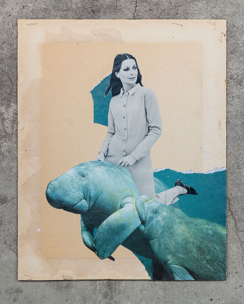 Frau reitet Seekuh im Meer - verschiedene Collagen aus dem schönen Schere Leim Papier Mixed Media Kunst Projekt vom Künstler Markus Wülbern