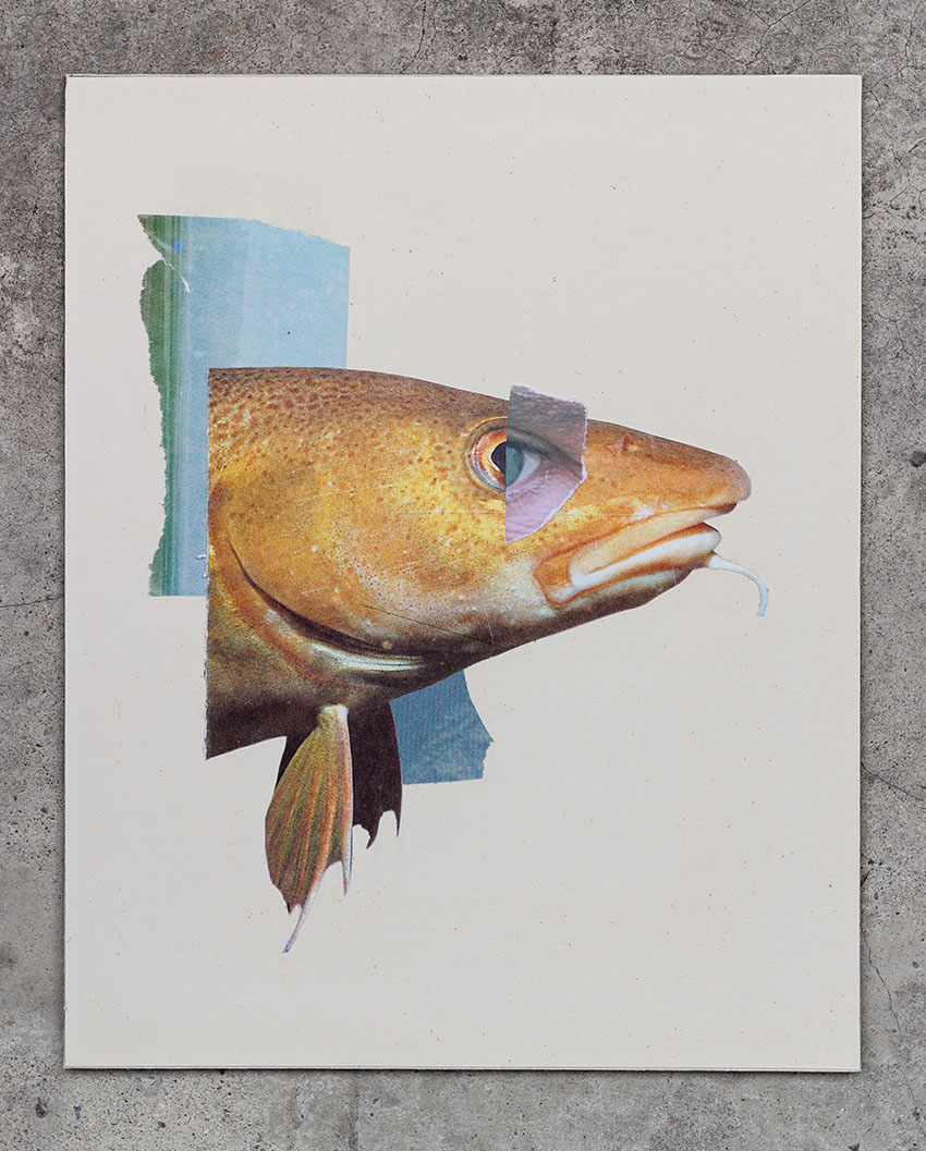 Mister Fisch mit Kinn Bart - verschiedene Collagen aus dem schönen Schere Leim Papier Mixed Media Kunst Projekt vom Künstler Markus Wülbern