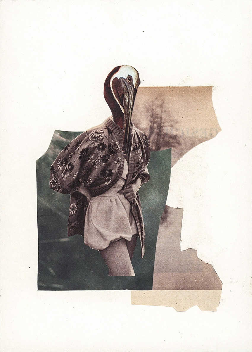modische Storch oder Pelikan Frau - original Tiere mit Klamotten, Kleidung, Anzug und Hosen Foto Collagen von Markus Wuelbern
