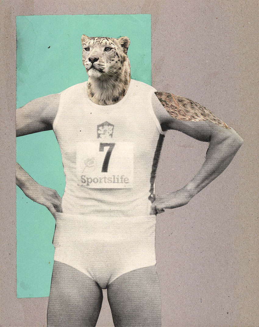 durch trainierter Leoparden Athlet konzentiert sich auf sein Ziel - original Tiere mit Klamotten, Kleidung und Hosen Foto Collage von Markus Wuelbern (Wülbern) mit Holzrahmen