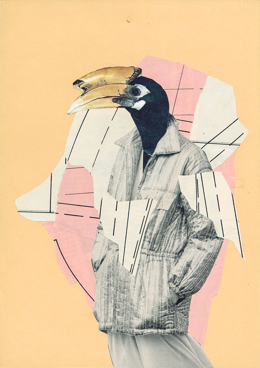 modisch gekleideter Tukan (Hornbill) post in seiner neuen Jacke vor Rosa - original Tiere mit Klamotten, Kleidung und Hosen Foto Collage von Markus Wuelbern (Wülbern) mit Holzrahmen