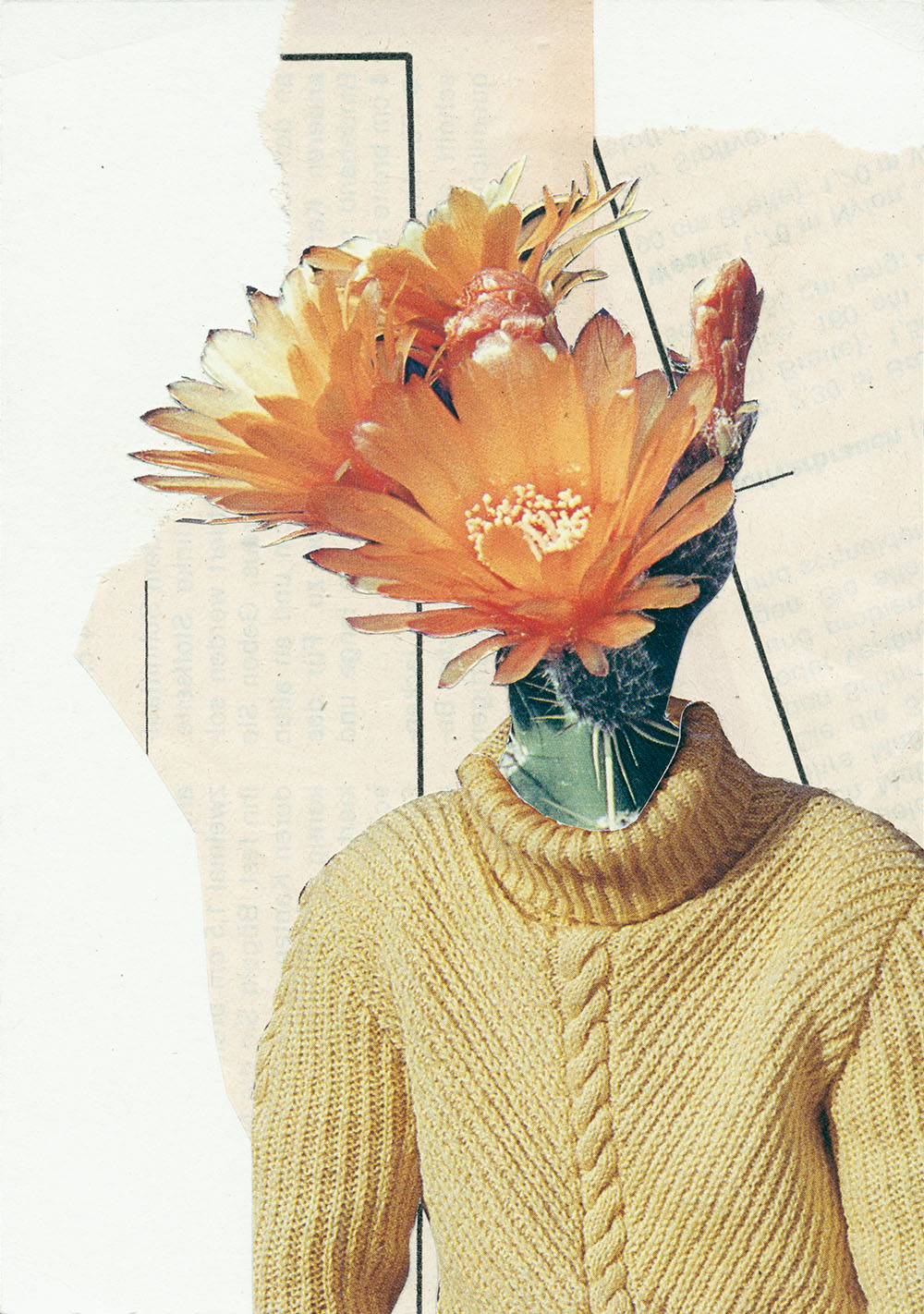 Kaktus Blütenkopf in gelbem Strickpulli- original Pflanzen, Blüten, Kakteen mit Klamotten, Kleidung Plants with Pants Collage von Markus Wuelbern