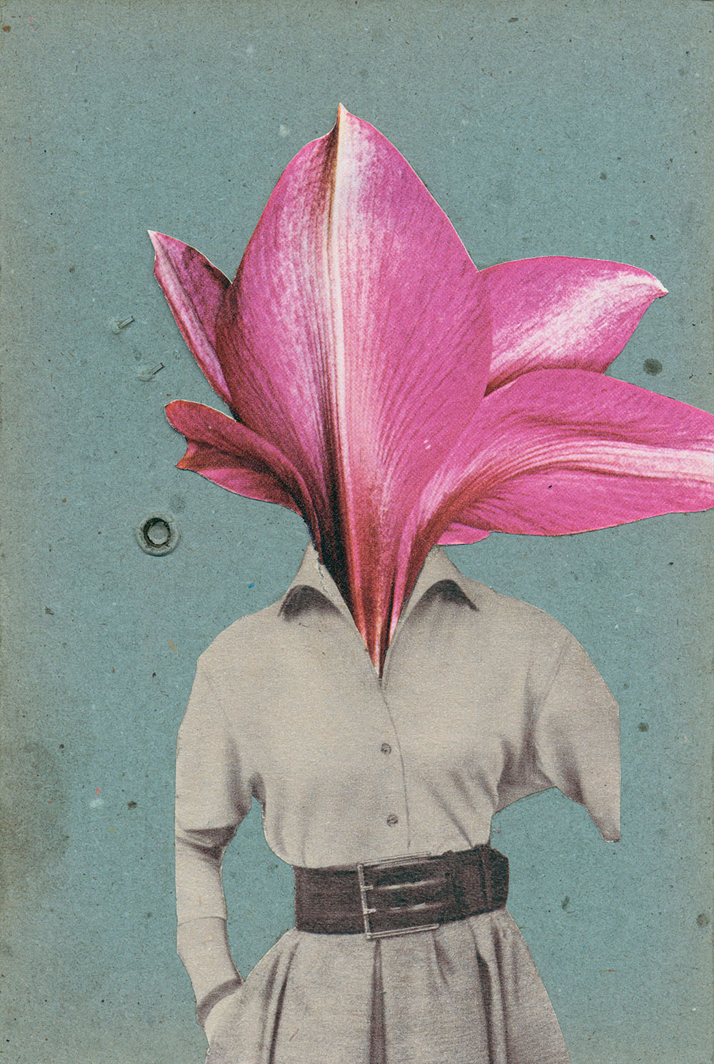 Lila Blütenkopf - original Pflanzen, Blüten, Kakteen mit Klamotten, Kleidung Plants with Pants Collage von Markus Wuelbern