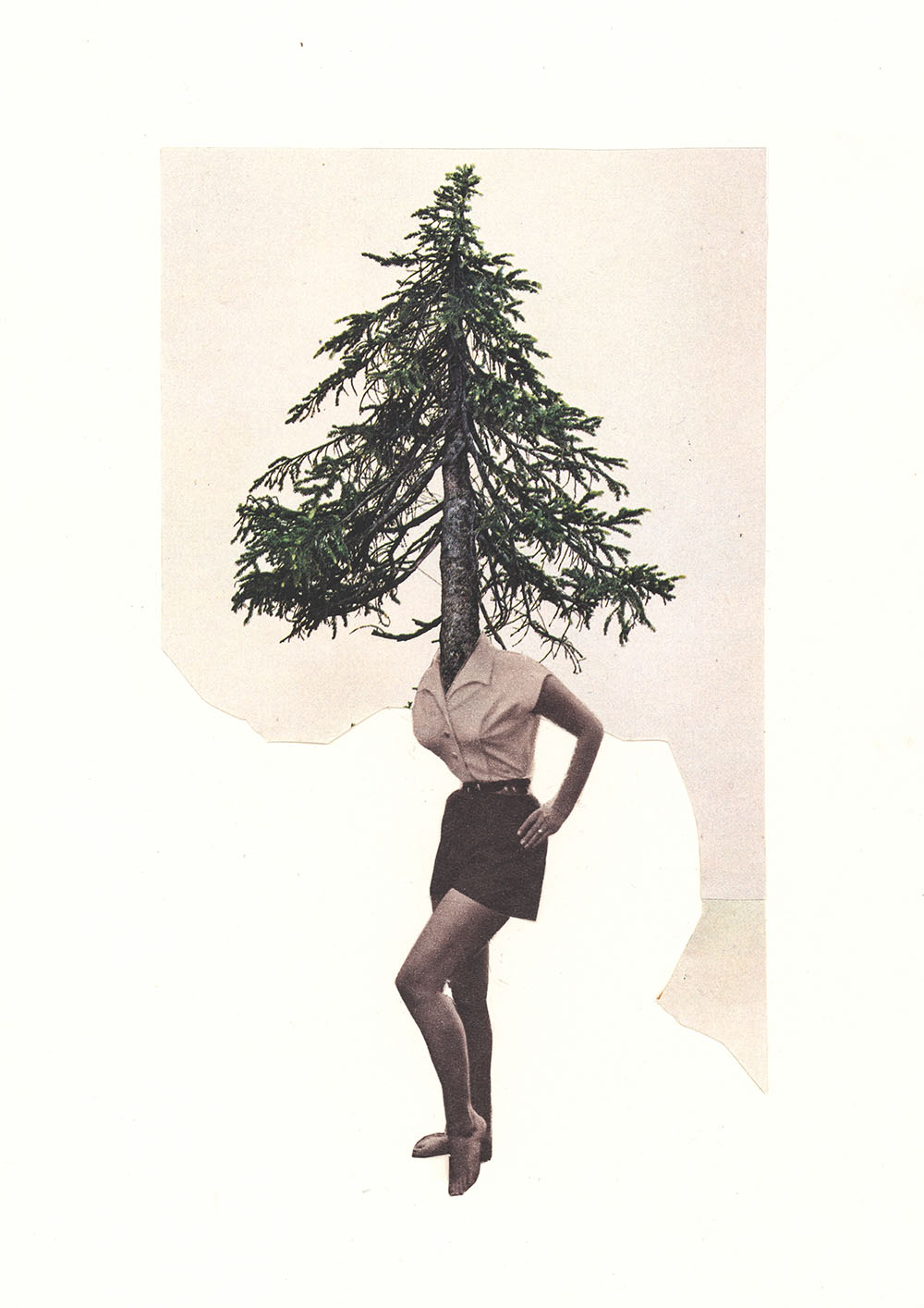 Fichten Kopf Weihnachtstanne Tannenbaum - original Pflanzen, Blüten, Kakteen mit Klamotten, Kleidung Plants with Pants Collage von Markus Wuelbern