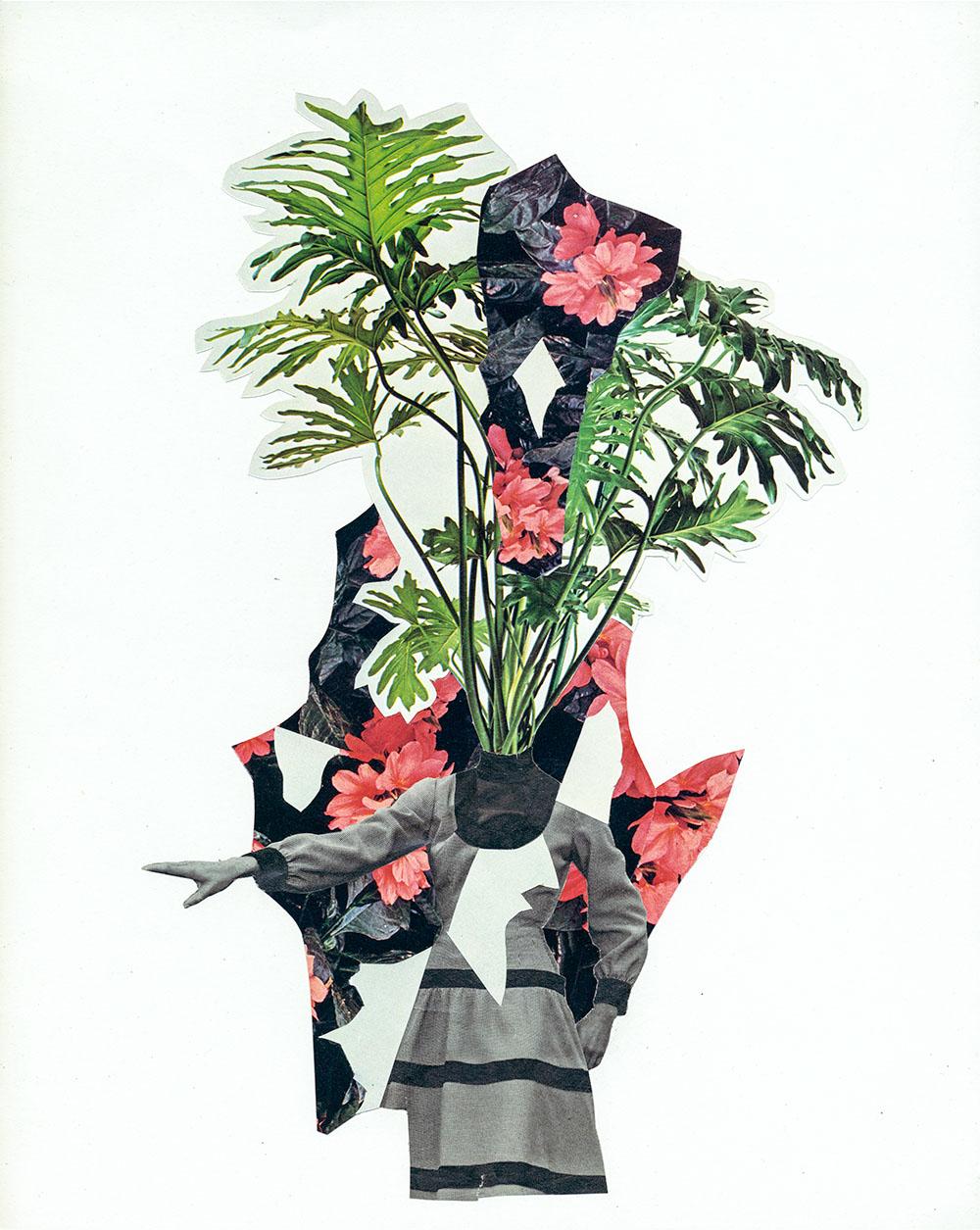 Zimmerpflanze im schicken Kleid - original Pflanzen, Blüten, Kakteen mit Klamotten, Kleidung Plants with Pants Collage von Markus Wuelbern
