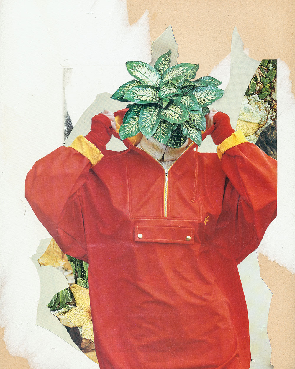 Zimmerpflanze in roter Regenjacke - original Pflanzen, Blüten, Kakteen mit Klamotten, Kleidung Plants with Pants Collage von Markus Wuelbern