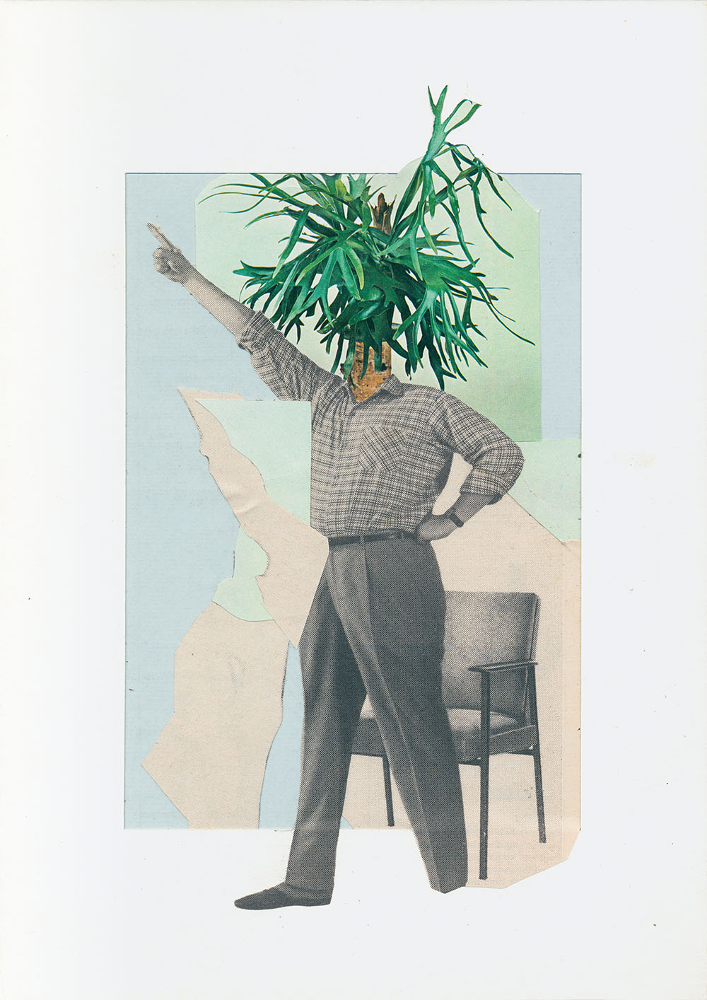 Kopf ab Planze drauf - original Pflanzen, Blüten, Kakteen mit Klamotten, Kleidung Plants with Pants Collage von Markus Wuelbern