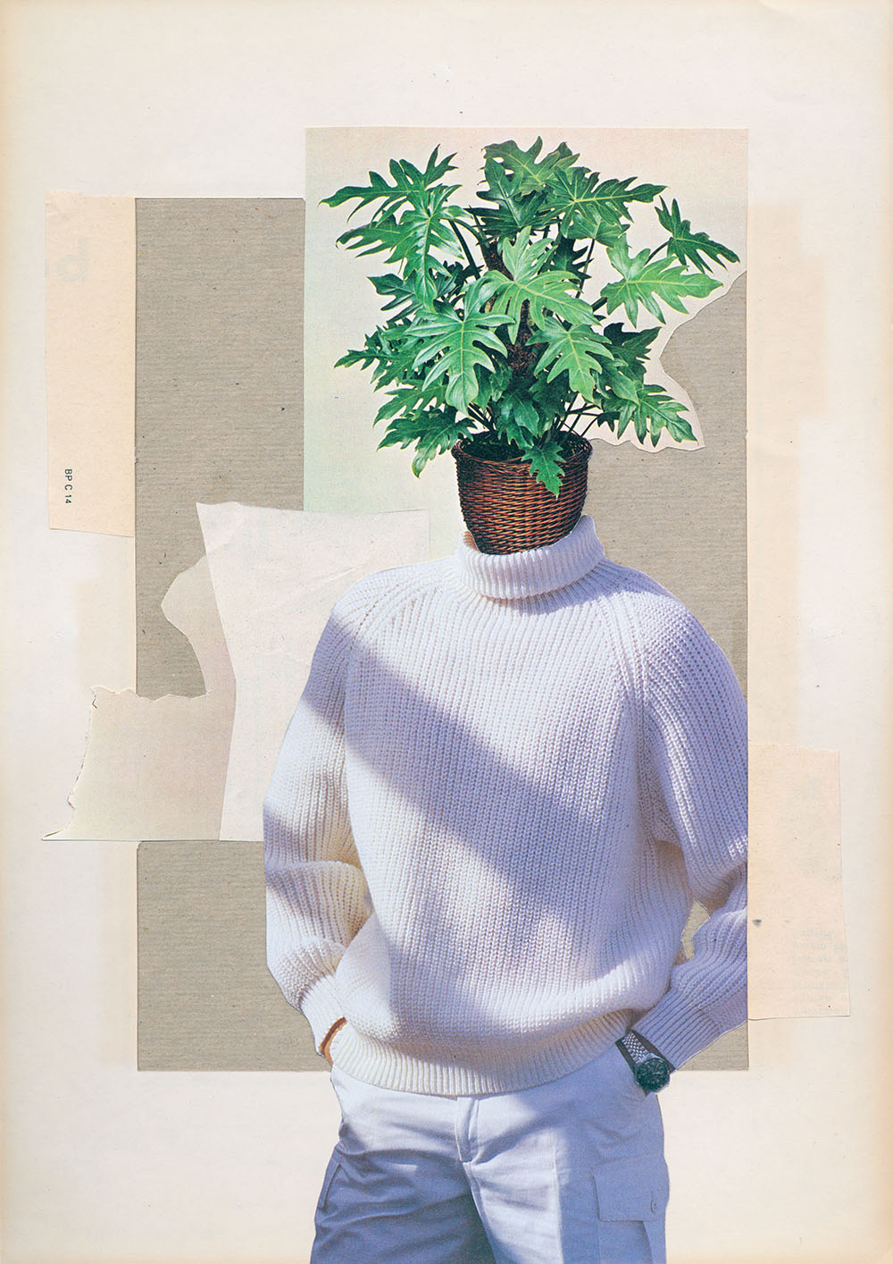 CMYK Blütenkopf vor Landschaft - original Pflanzen, Blüten, Kakteen mit Klamotten, Kleidung Plants with Pants Collage von Markus Wuelbern