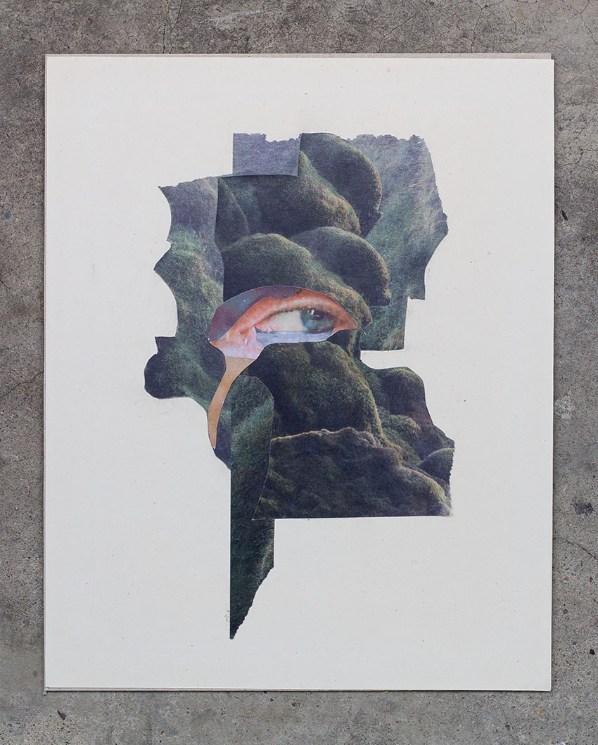 Auge auf Moosbedeckten Felsen - verschiedene Collagen aus dem schönen Schere Leim Papier Mixed Media Kunst Projekt vom Künstler Markus Wülbern