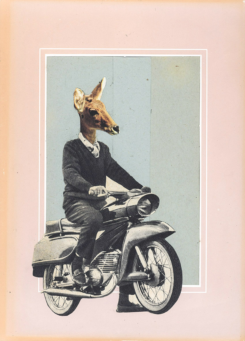 junger Rehbock auf Motorrad - original Tiere mit Klamotten, Kleidung, Anzug und Hosen Foto Collagen von Markus Wuelbern