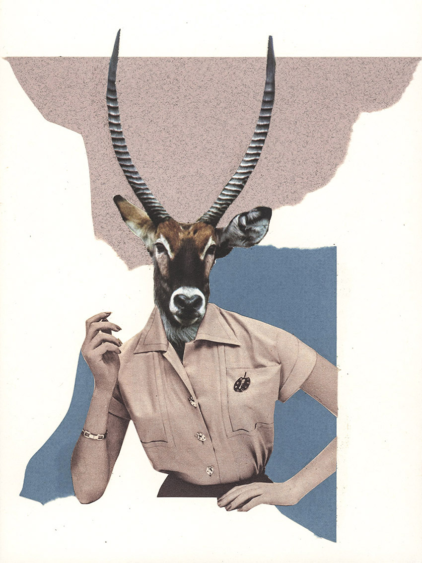 schnippische Ziege / Gnu Frau - original Tiere mit Klamotten, Kleidung, Anzug und Hosen Foto Collagen von Markus Wuelbern