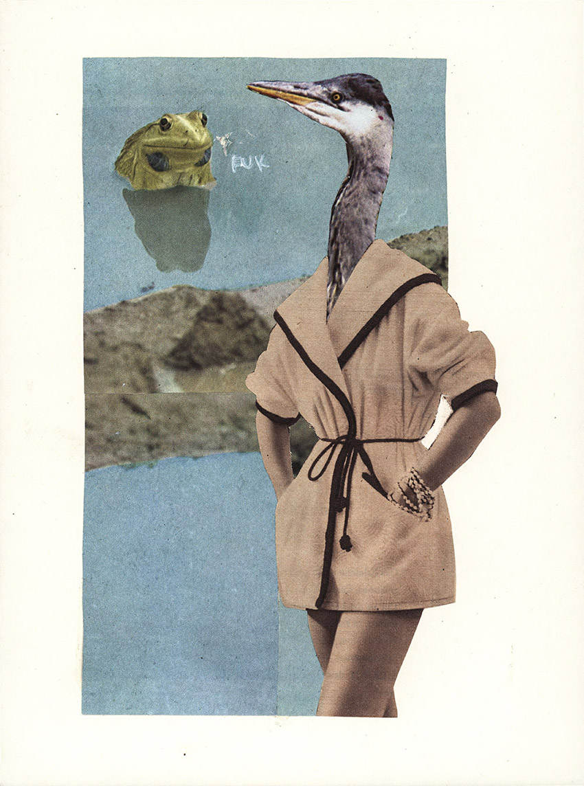 Frau Kranich und Frosch im Teich - original Tiere mit Klamotten, Kleidung, Anzug und Hosen Foto Collagen von Markus Wuelbern