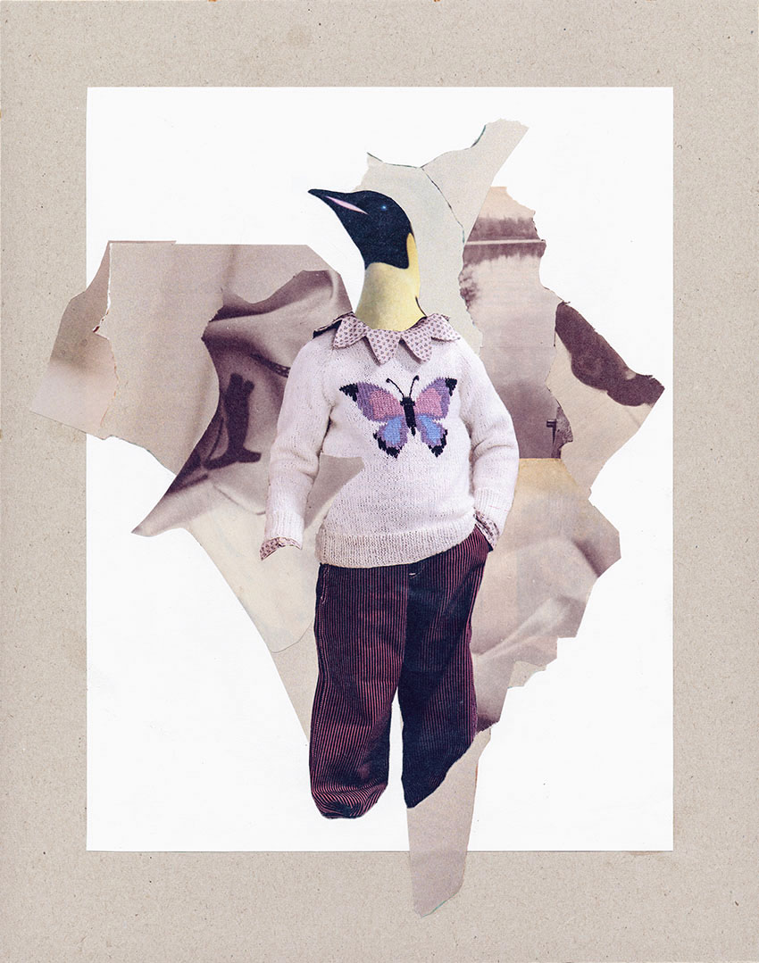 Stolzes Pinguin Kind mit Strick Pullover - original Tiere mit Klamotten, Kleidung, Anzug und Hosen Foto Collagen von Markus Wuelbern