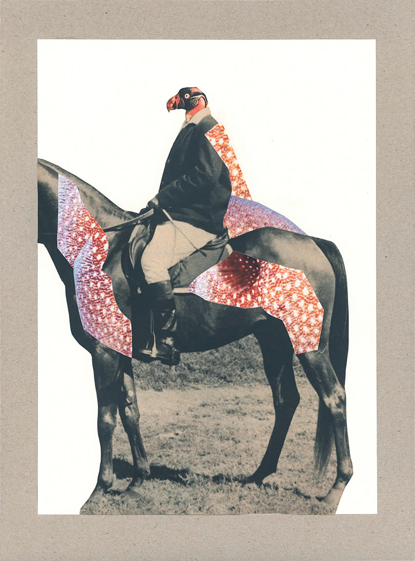 Reitender Geier auf Pferd - original Tiere mit Klamotten, Kleidung, Anzug und Hosen Foto Collagen von Markus Wuelbern
