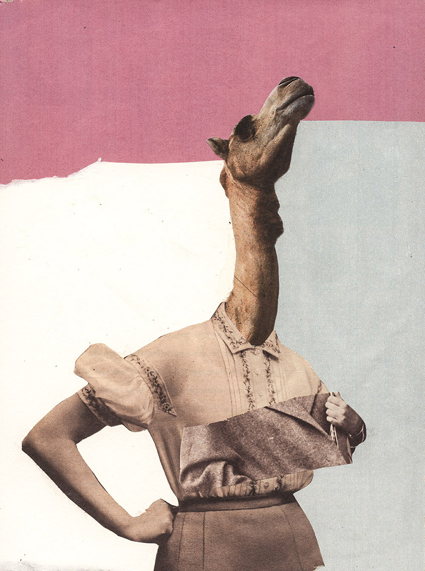 Stolze Kamel Feministin starke Frau - original Tiere mit Klamotten, Kleidung, Anzug und Hosen Foto Collagen von Markus Wuelbern