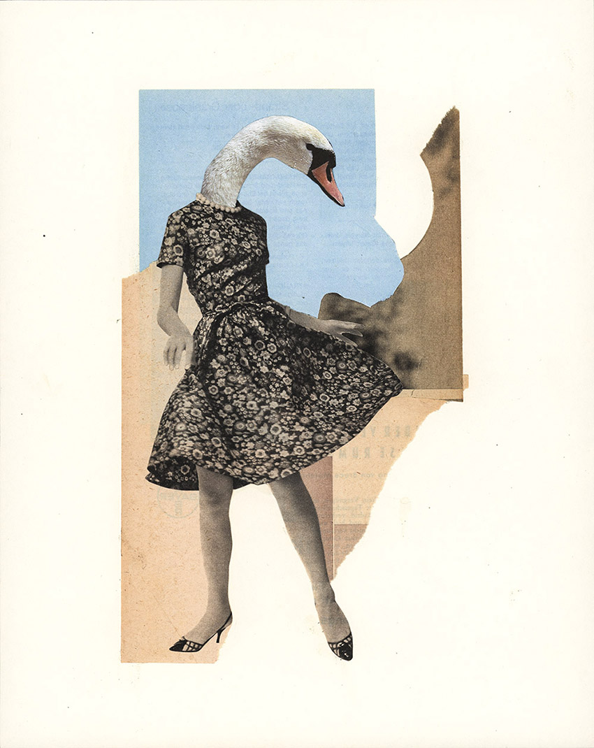 Tanzender Schwan im Sommerkleid - original Tiere mit Klamotten, Kleidung, Anzug und Hosen Foto Collagen von Markus Wuelbern