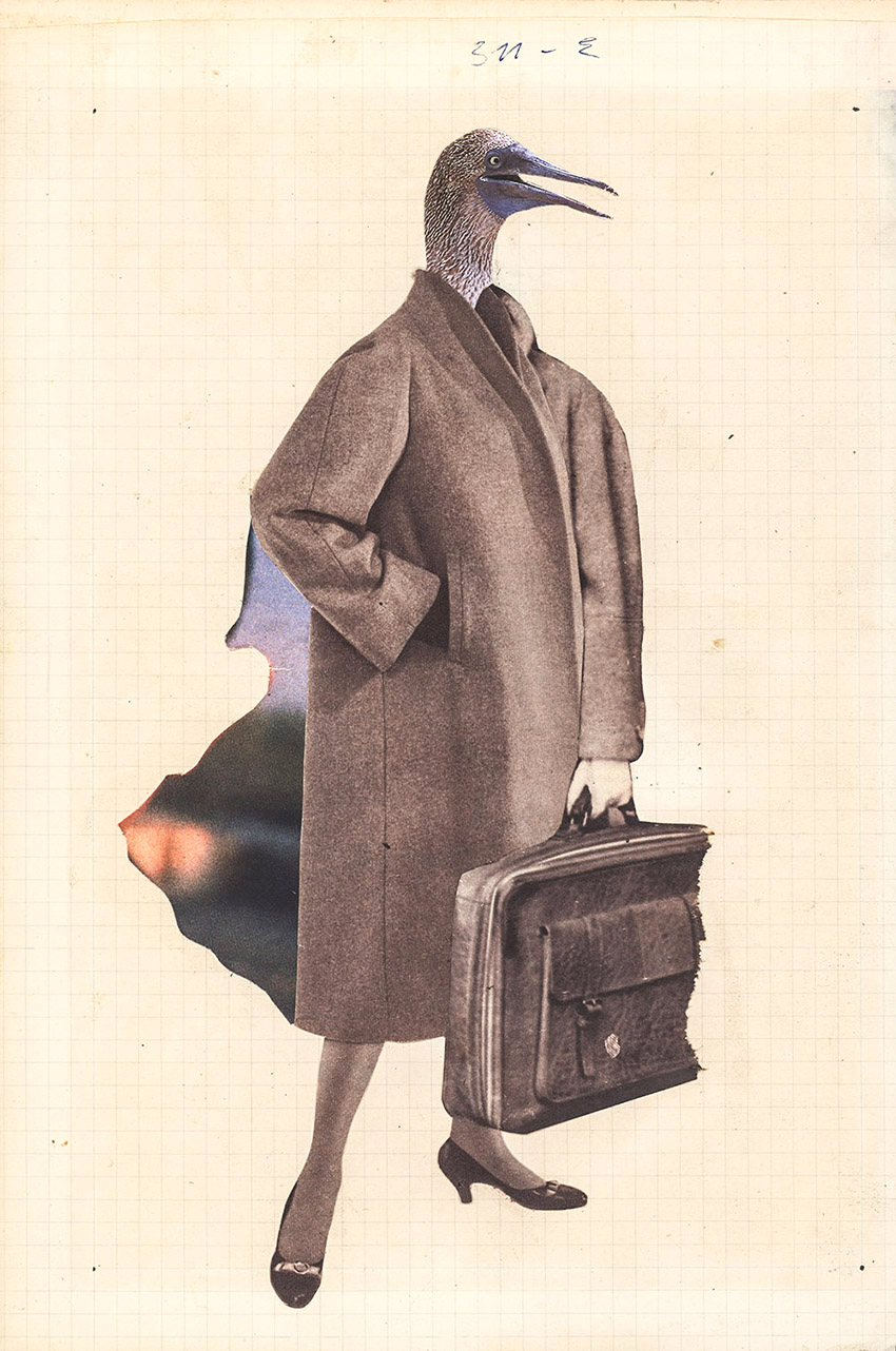 Zugvorgel mit Mantel und Koffer - original Tiere mit Klamotten, Kleidung, Anzug und Hosen Foto Collagen von Markus Wuelbern