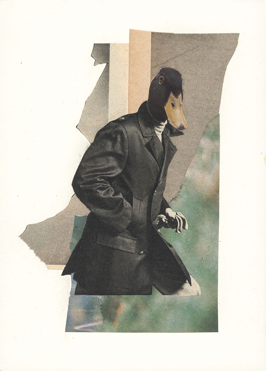 Sherlok Holmes Ente Erpel hat einen neuen Auftrag zur Spionage - original Tiere mit Klamotten, Kleidung und Hosen Foto Collage von Markus Wuelbern (Wülbern) mit Holzrahmen
