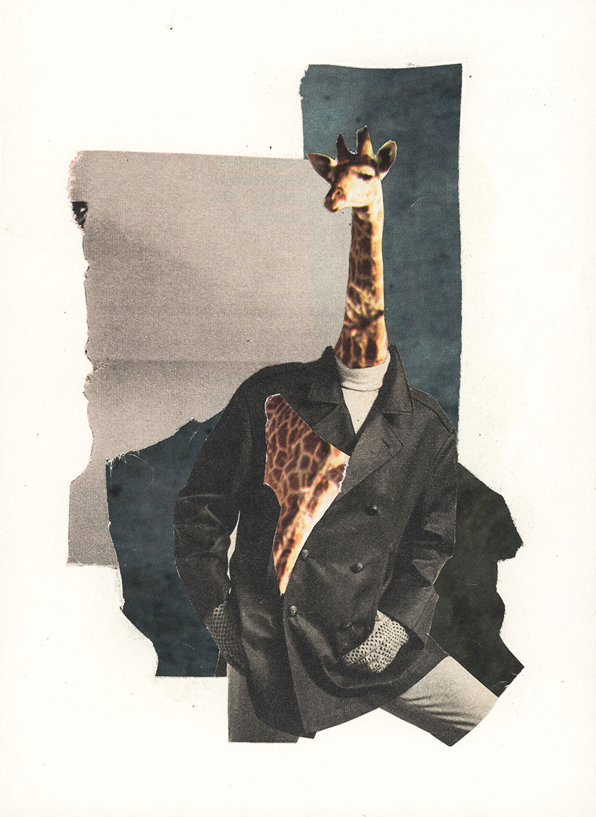 Giraffe mit schlankem Hals posiert für Modemagazin - original Tiere mit Klamotten, Kleidung und Hosen Foto Collage von Markus Wuelbern (Wülbern) mit Holzrahmen