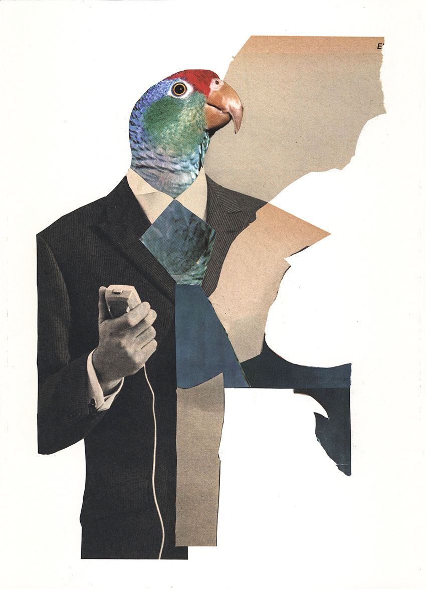 Beschäftigter Business Papagei ist sichtlich gestresst von seinem Telefongespräch - original Tiere mit Klamotten, Kleidung und Hosen Foto Collage von Markus Wuelbern (Wülbern) mit Holzrahmen