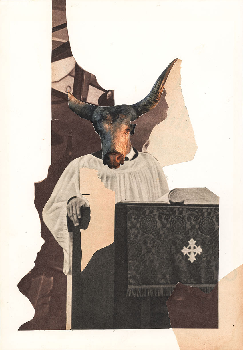 Alter Wasserbüffel Priester hält eine seiner ewigen Predigten - original Tiere mit Klamotten, Kleidung und Hosen Foto Collage von Markus Wuelbern (Wülbern) mit Holzrahmen