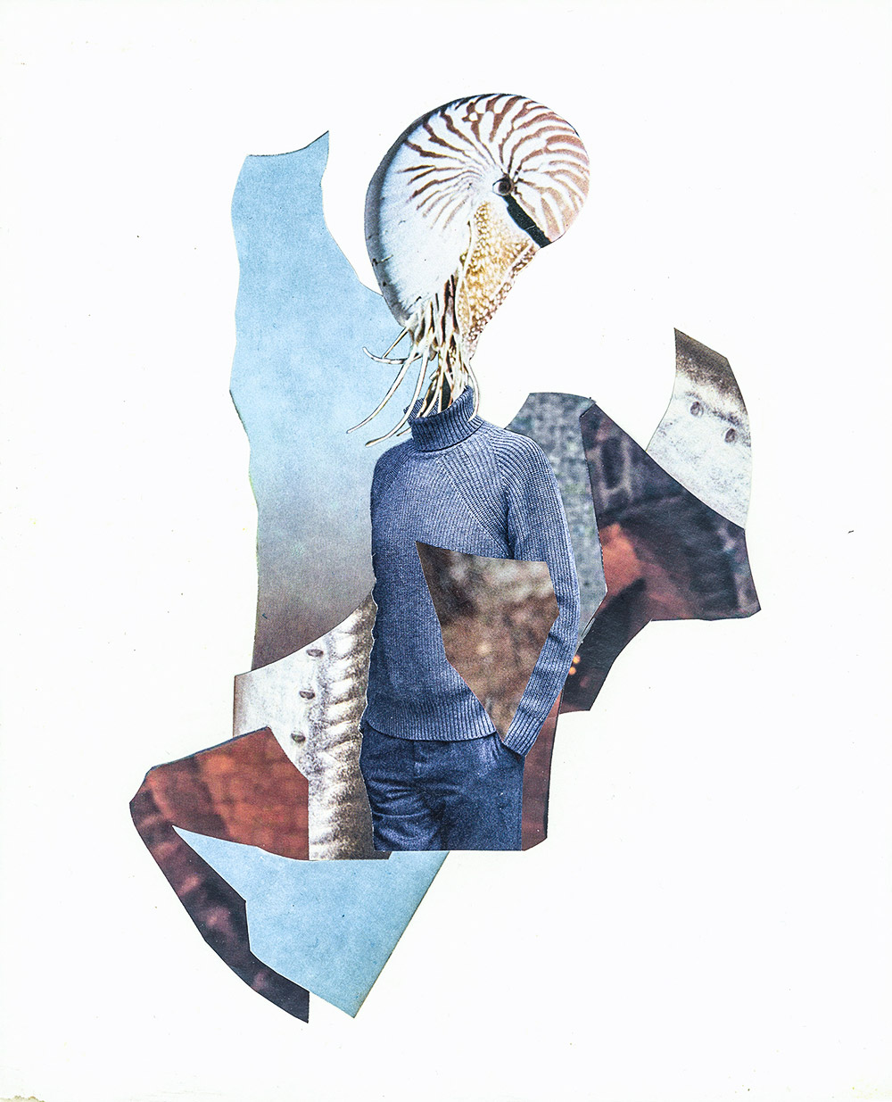Albatross trägt seine junge Vogel Braut über die Türschwelle wie es Brauch ist - original Tiere mit Klamotten, Kleidung und Hosen Foto Collage von Markus Wuelbern (Wülbern) mit Holzrahmen