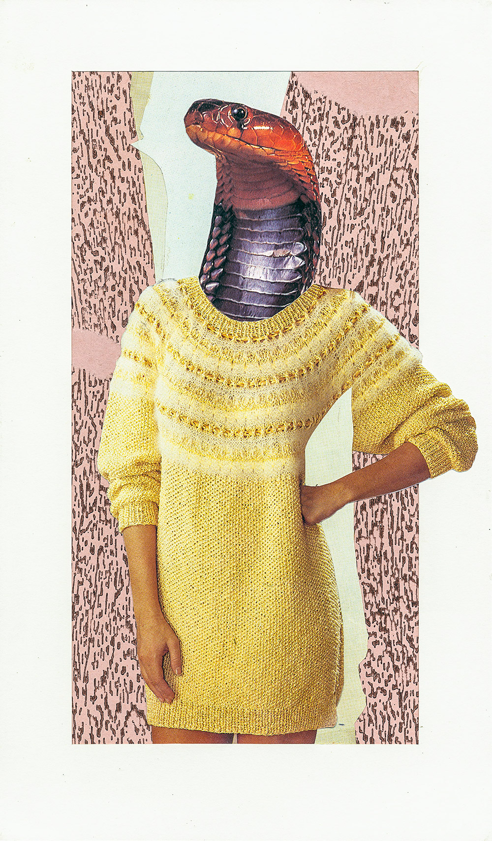 düstere Collage mit zierlicher Frau die statt einem Kopf eine Muschel trägt - original Tiere mit Klamotten, Kleidung und Hosen Foto Collage von Markus Wuelbern (Wülbern) mit Holzrahmen